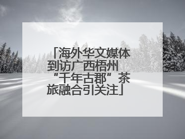 海外华文媒体到访广西梧州 “千年古郡”茶旅融合引关注