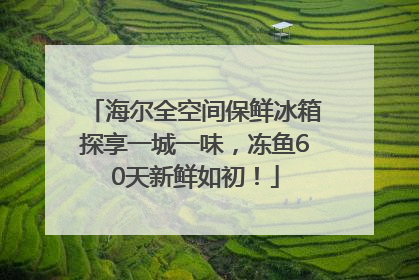 海尔全空间保鲜冰箱探享一城一味，冻鱼60天新鲜如初！