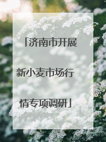 济南市开展新小麦市场行情专项调研