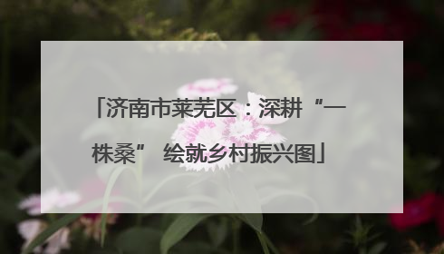 济南市莱芜区：深耕“一株桑” 绘就乡村振兴图
