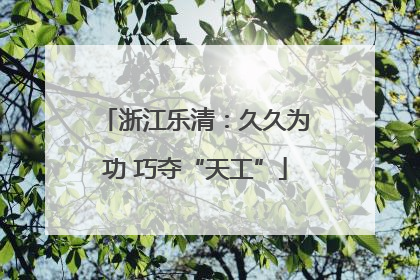 浙江乐清：久久为功 巧夺“天工”