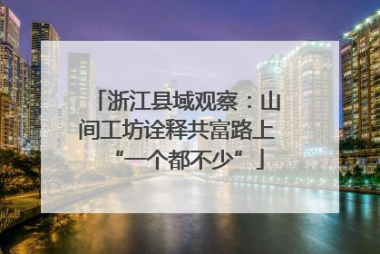 浙江县域观察：山间工坊诠释共富路上“一个都不少”