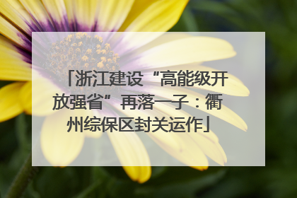 浙江建设“高能级开放强省”再落一子：衢州综保区封关运作