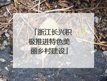 浙江长兴积极推进特色美丽乡村建设