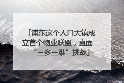 浦东这个人口大镇成立首个物业联盟，直面“三多三难”挑战