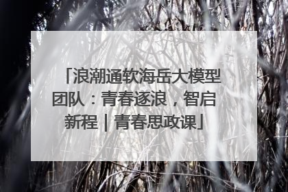 浪潮通软海岳大模型团队：青春逐浪，智启新程｜青春思政课