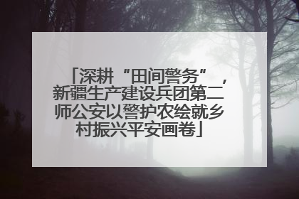 深耕“田间警务”，新疆生产建设兵团第二师公安以警护农绘就乡村振兴平安画卷