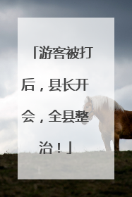 游客被打后，县长开会，全县整治！