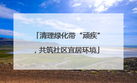 清理绿化带“顽疾”，共筑社区宜居环境