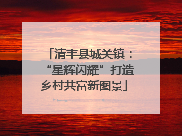 清丰县城关镇：“星辉闪耀”打造乡村共富新图景