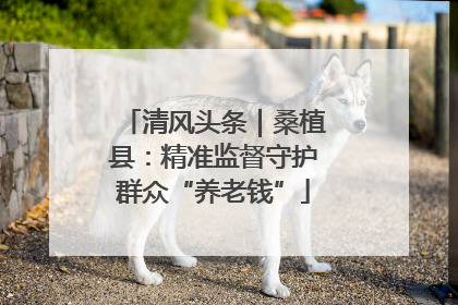 清风头条｜桑植县：精准监督守护群众“养老钱”