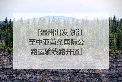 温州出发 浙江至中亚首条国际公路运输线路开通