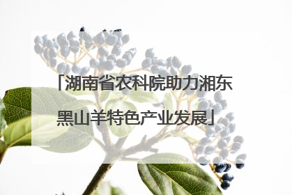湖南省农科院助力湘东黑山羊特色产业发展