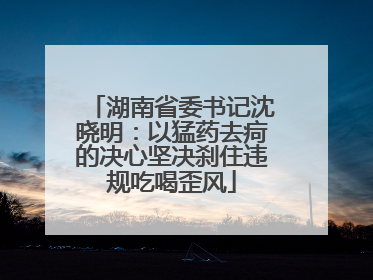 湖南省委书记沈晓明：以猛药去疴的决心坚决刹住违规吃喝歪风