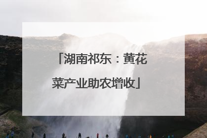 湖南祁东：黄花菜产业助农增收