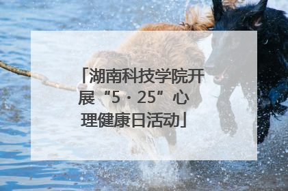 湖南科技学院开展“5・25”心理健康日活动