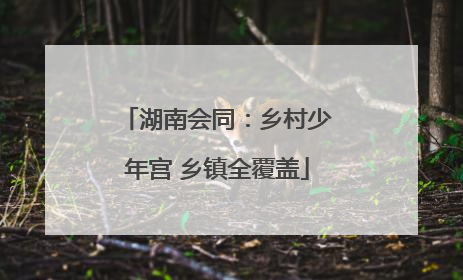 湖南会同：乡村少年宫 乡镇全覆盖