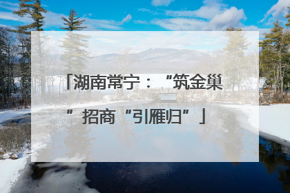 湖南常宁：“筑金巢”招商“引雁归”