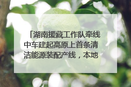 湖南援藏工作队牵线中车建起高原上首条清洁能源装配产线，本地大学生成车间检验员