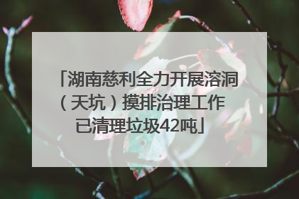 湖南慈利全力开展溶洞（天坑）摸排治理工作 已清理垃圾42吨