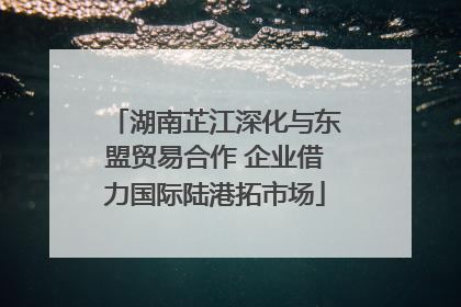 湖南芷江深化与东盟贸易合作 企业借力国际陆港拓市场