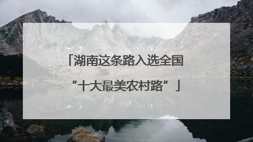 湖南这条路入选全国“十大最美农村路”