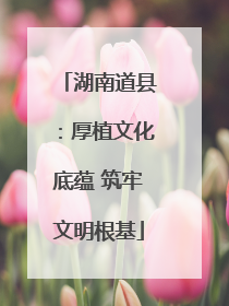 湖南道县：厚植文化底蕴 筑牢文明根基