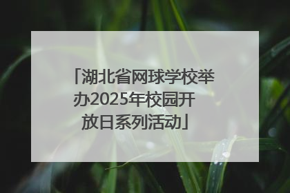 湖北省网球学校举办2025年校园开放日系列活动