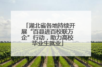 湖北省各地持续开展“百县进百校联万企”行动，助力高校毕业生就业