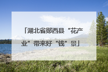 湖北省郧西县“花产业”带来好“钱”景
