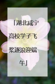 湖北咸宁高校学子飞桨逐浪迎端午