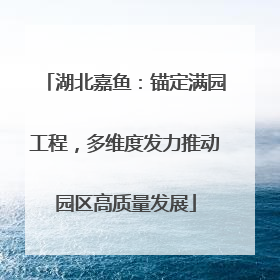 湖北嘉鱼：锚定满园工程，多维度发力推动园区高质量发展