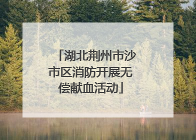 湖北荆州市沙市区消防开展无偿献血活动