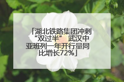 湖北铁路集团冲刺“双过半” 武汉中亚班列一年开行量同比增长72%