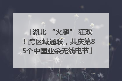湖北 “火腿” 狂欢！跨区域通联，共庆第85个中国业余无线电节