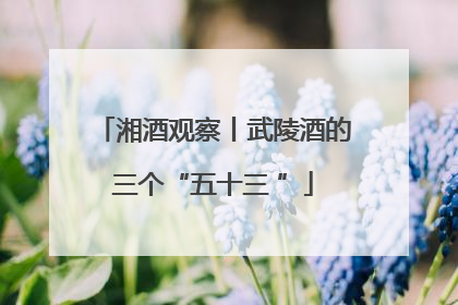 湘酒观察丨武陵酒的三个“五十三 ”