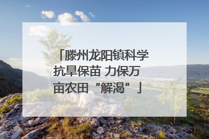 滕州龙阳镇科学抗旱保苗 力保万亩农田“解渴”