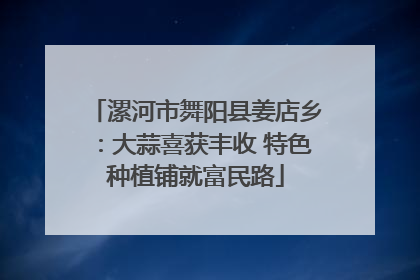 漯河市舞阳县姜店乡：大蒜喜获丰收 特色种植铺就富民路