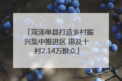 菏泽单县打造乡村振兴集中推进区 惠及十村2.14万群众