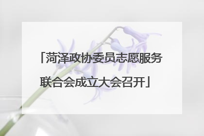 菏泽政协委员志愿服务联合会成立大会召开