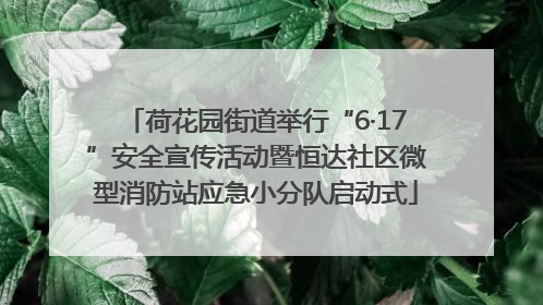 荷花园街道举行“6·17”安全宣传活动暨恒达社区微型消防站应急小分队启动式