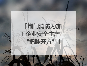 荆门消防为加工企业安全生产“把脉开方”