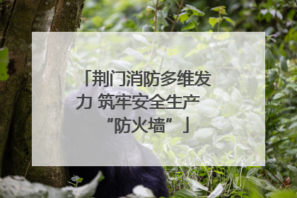 荆门消防多维发力 筑牢安全生产“防火墙”