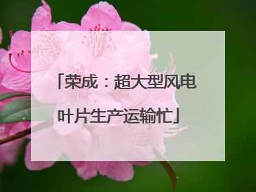 荣成：超大型风电叶片生产运输忙