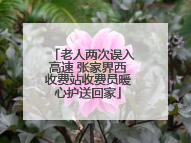老人两次误入高速 张家界西收费站收费员暖心护送回家