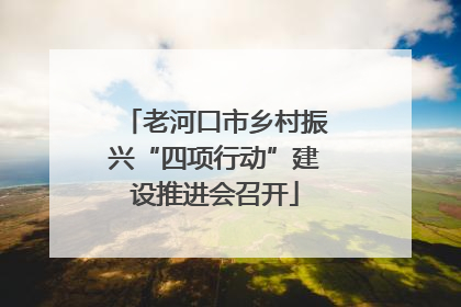 老河口市乡村振兴“四项行动”建设推进会召开