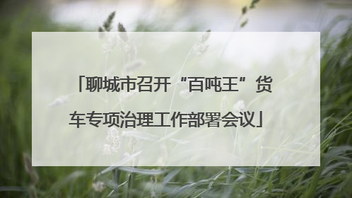 聊城市召开“百吨王”货车专项治理工作部署会议