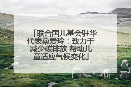 联合国儿基会驻华代表桑爱玲：致力于减少碳排放 帮助儿童适应气候变化