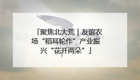 聚焦北大荒｜友谊农场“稻耳轮作”产业振兴“花开两朵”