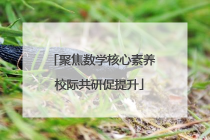 聚焦数学核心素养 校际共研促提升